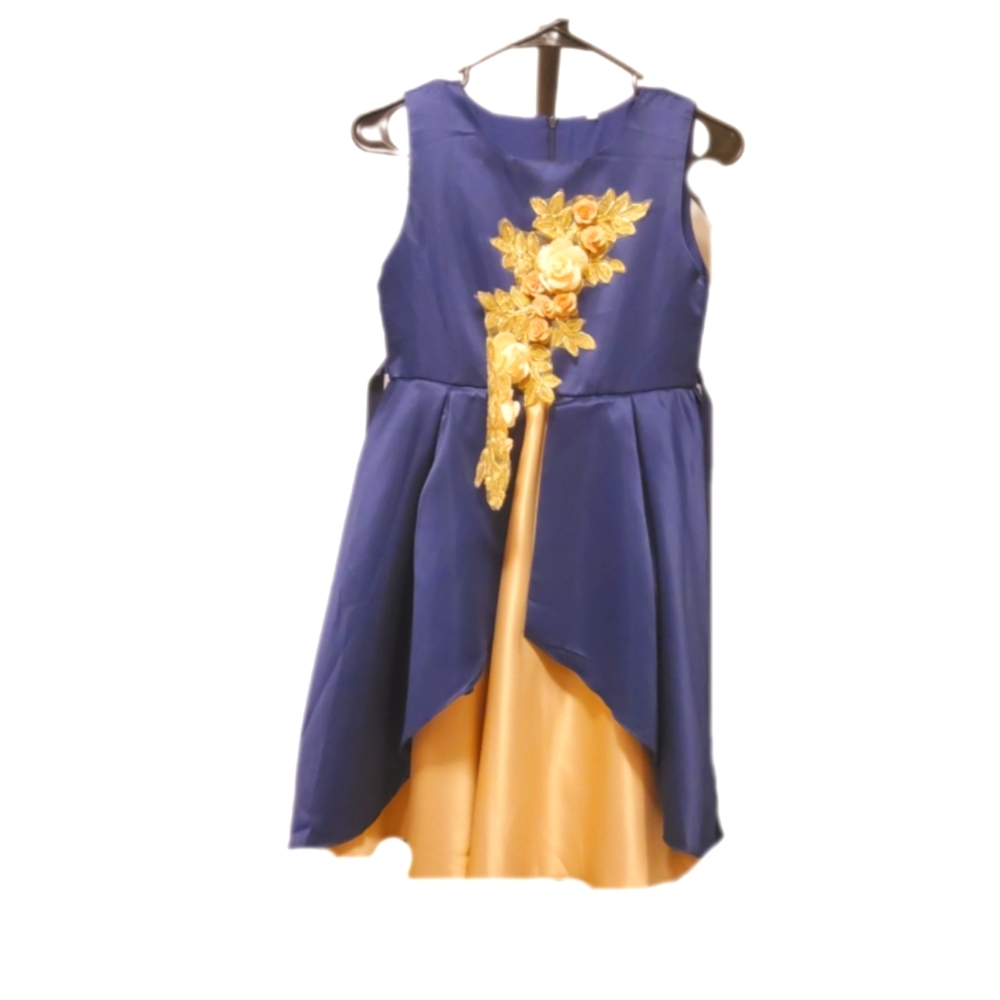 Amazon Rogal Blue dress for Girls Age 9-10Y